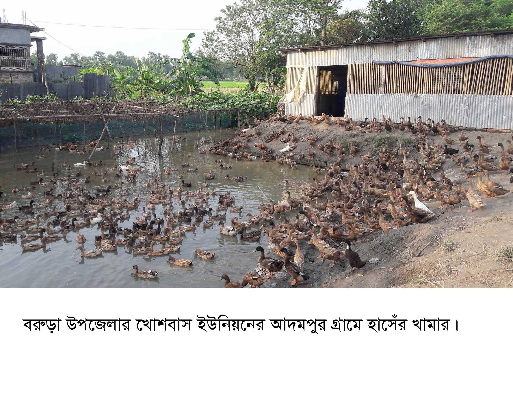 news-image