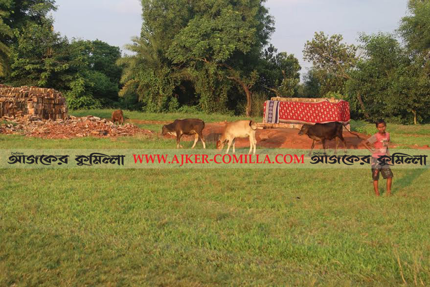 news-image