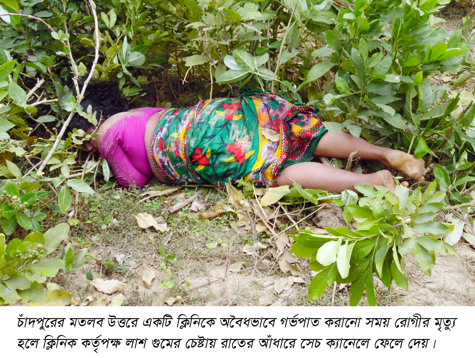 news-image