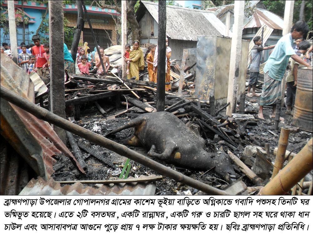 news-image