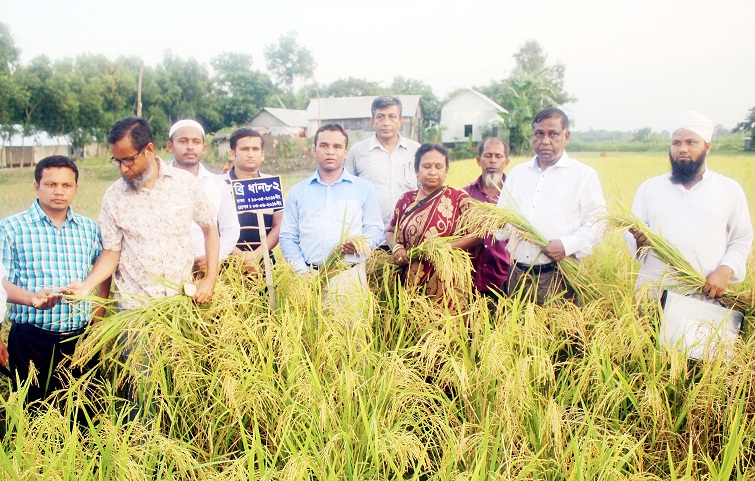 news-image