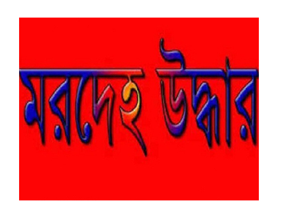 news-image