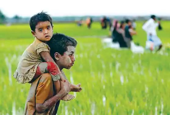 news-image
