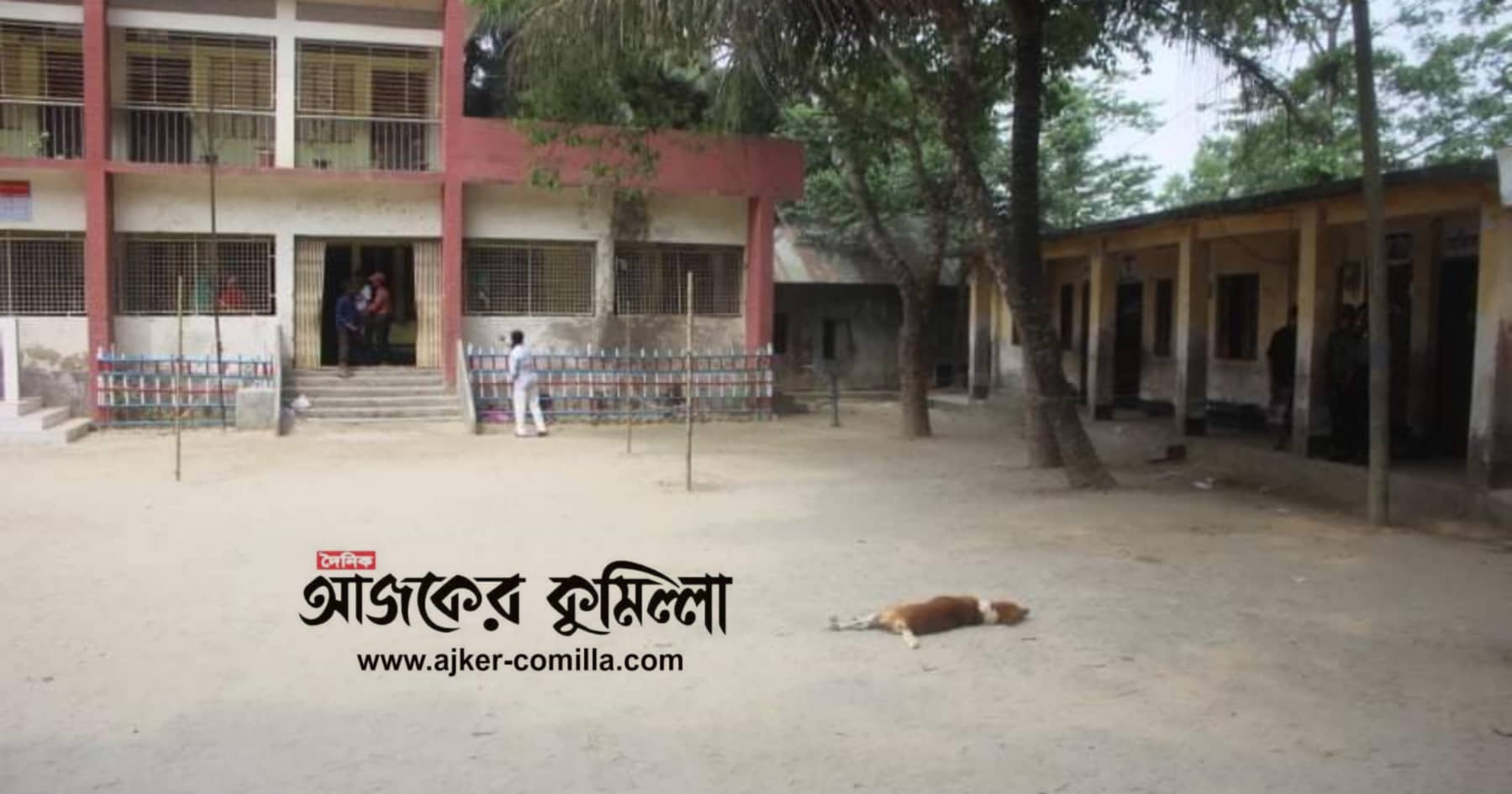 news-image