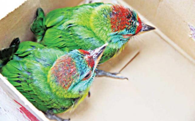 news-image