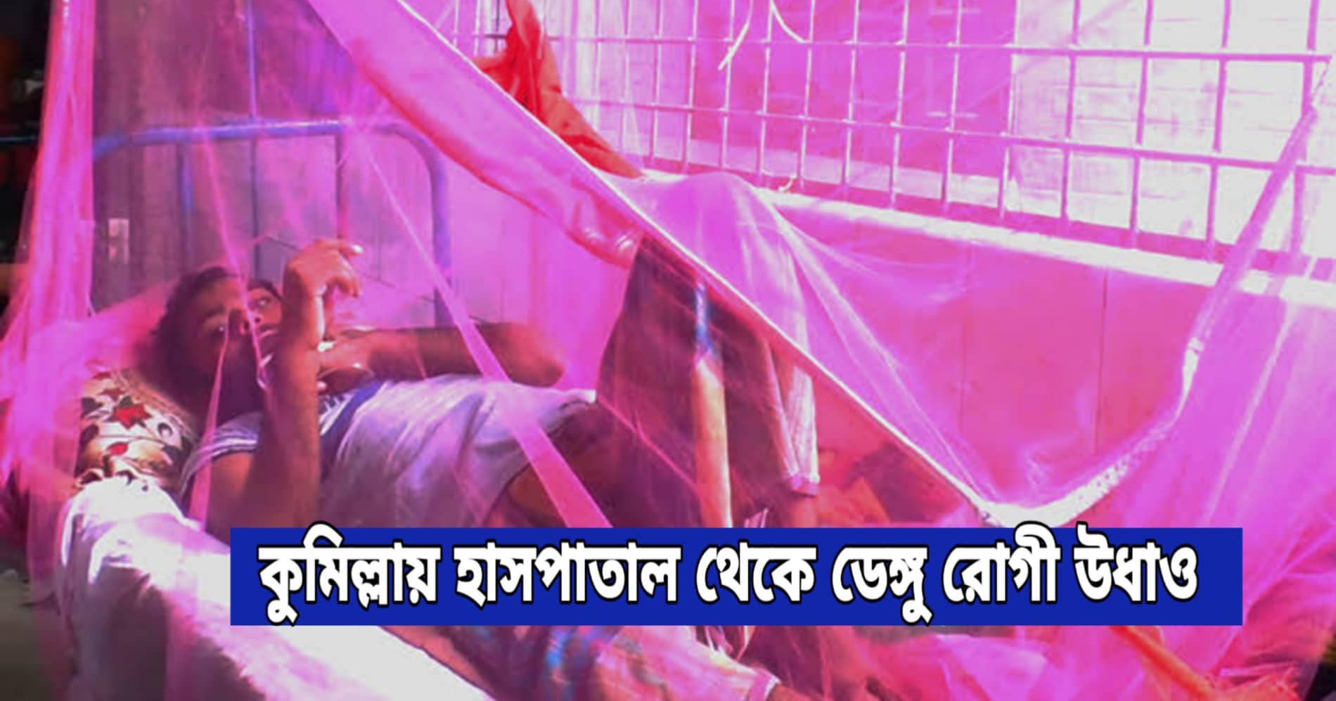 news-image