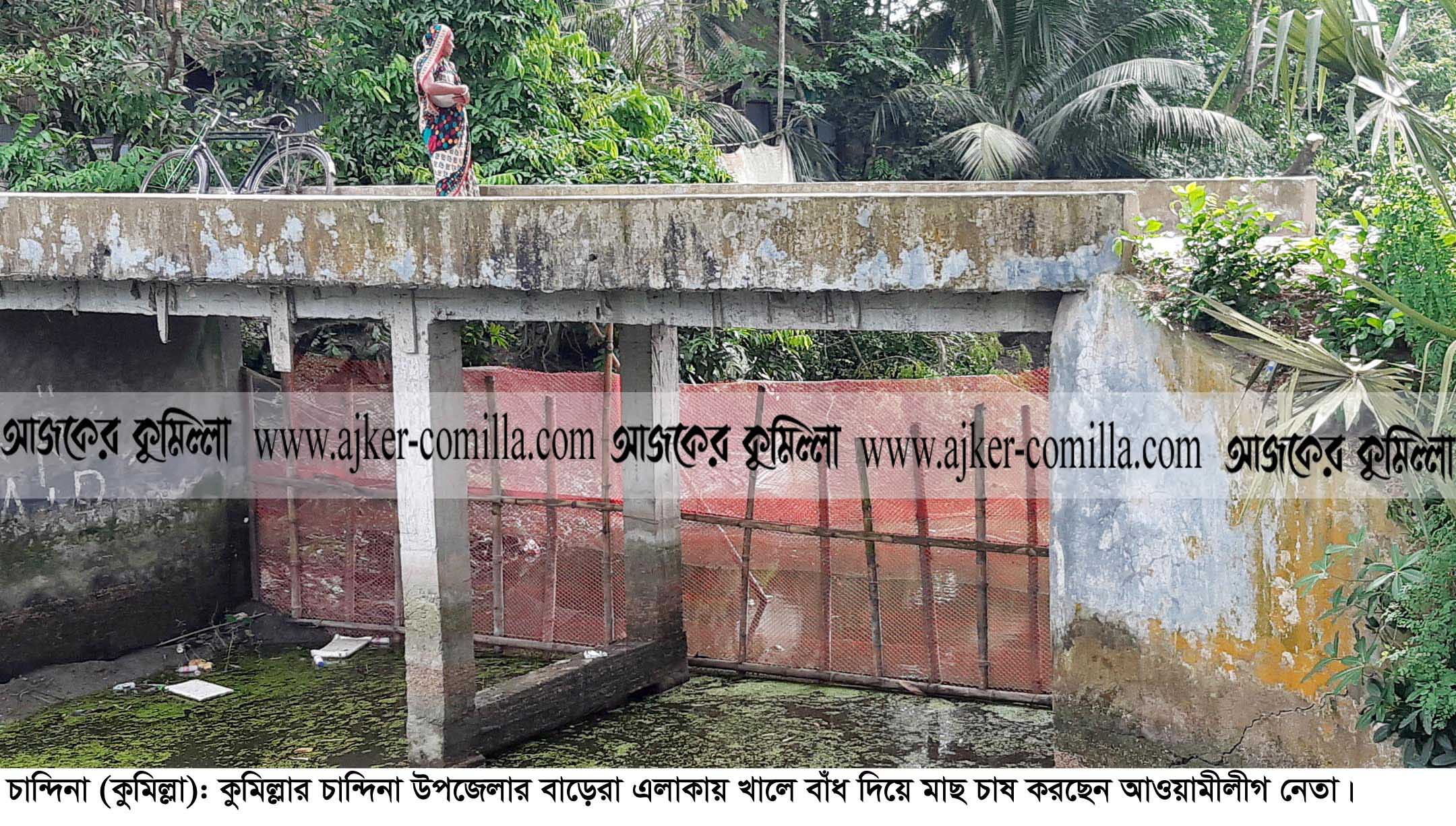 news-image