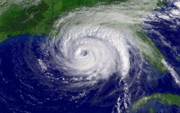 news-image