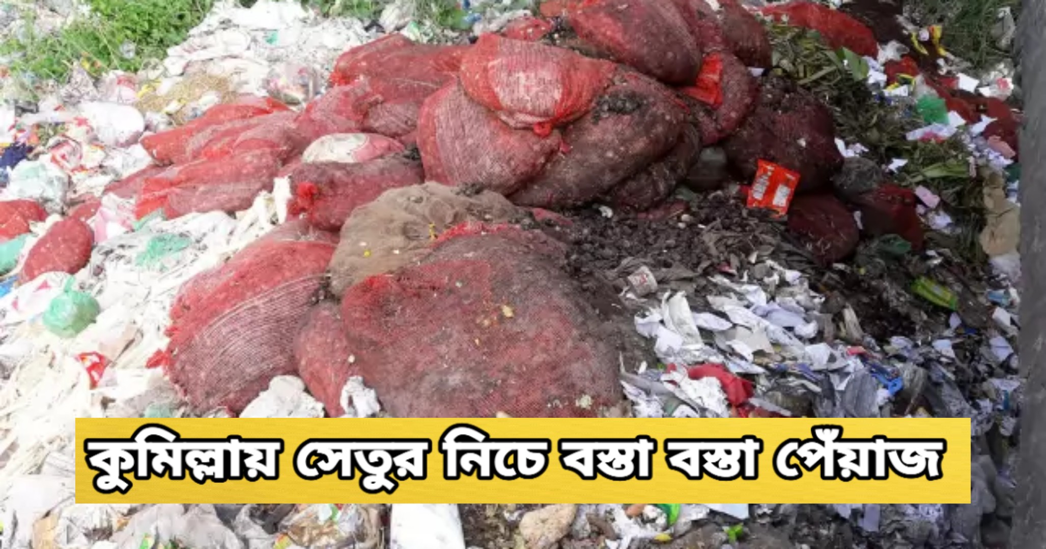news-image