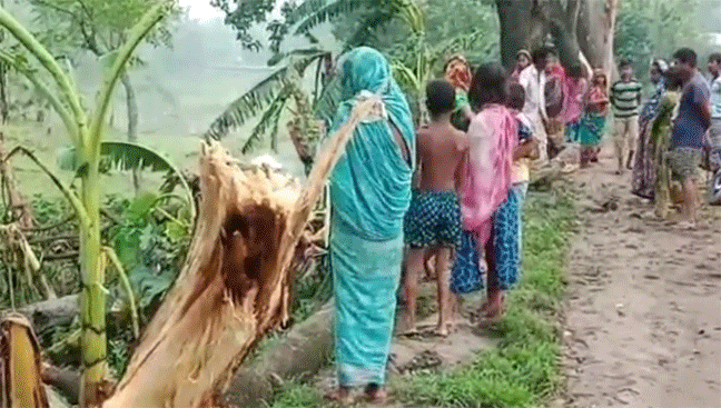 news-image