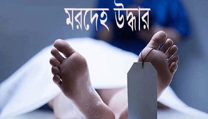 news-image