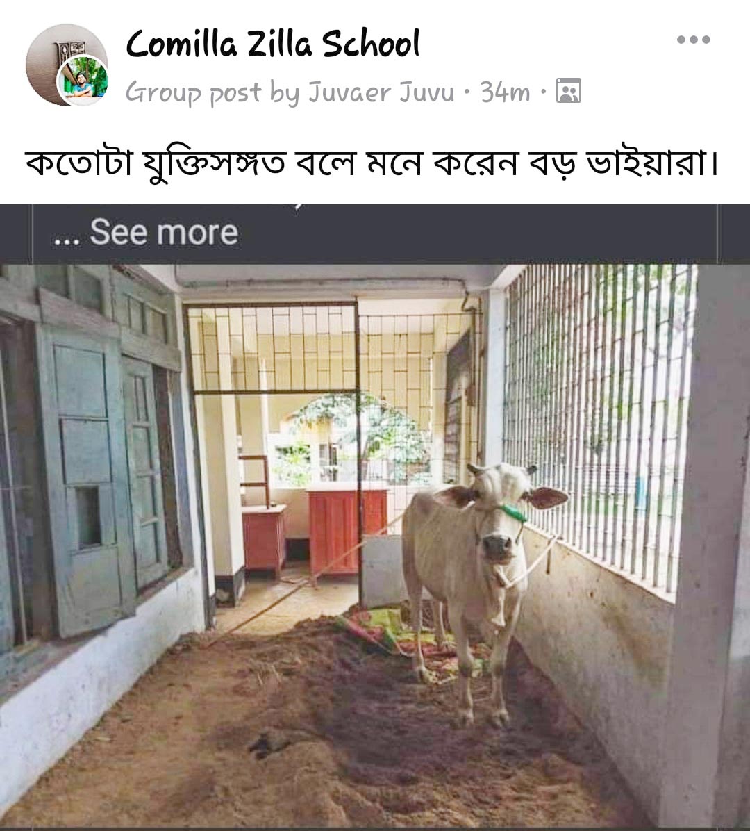 news-image