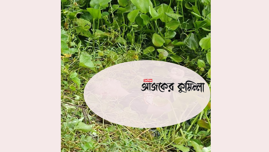 news-image