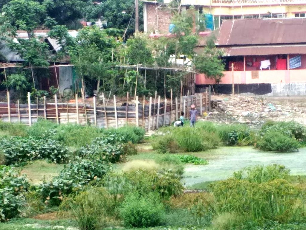 কুমিল্লার আড়াইশ বছরের পুরনো হাতি পুকুর ভরাট, পরিবেশ অধিদপ্তরের মামলা – Ajker Comilla