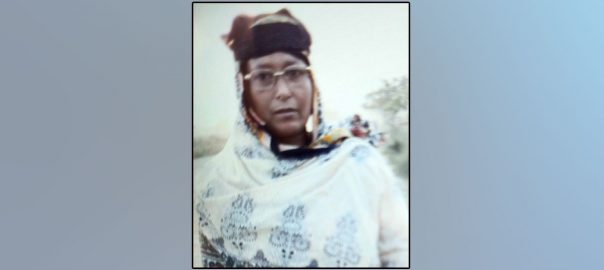৩৫০০ টাকার জন‍্য মাকে হত্যা করলো ছেলে