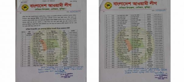 দেবীদ্বারের সুলতানপুর ইউনিয়ন আ.লীগের কমিটি গঠন