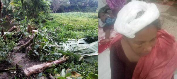 হাজীগঞ্জে সম্পত্তিগত বিরোধে গাছের চারা কর্তন ও বৃদ্ধা নারীকে মারধরের অভিযোগ