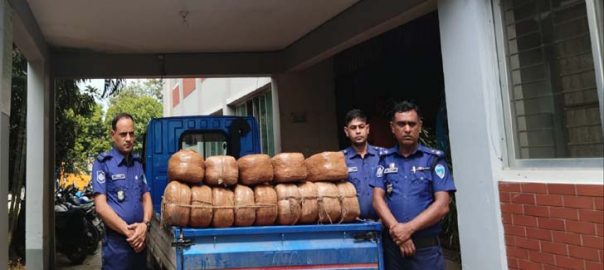 চৌদ্দগ্রামে ১২৪ কেজি গাঁজাসহ পিকআপভ্যান জব্দ