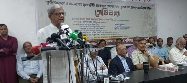 সরকার পতনে আর কয়েকটা দিন: মির্জা ফখরুল