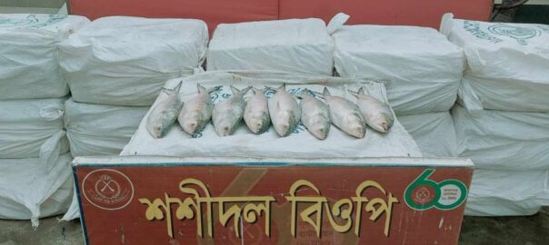 ভারতে পাচারকালে