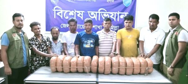 কুমিল্লায় ৩০ কেজি গাঁজা সহ
