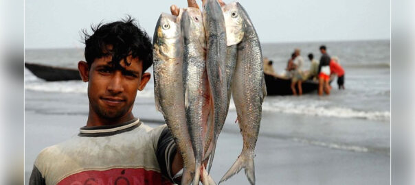 ১৩ অক্টোবর থেকে ২২ দিন