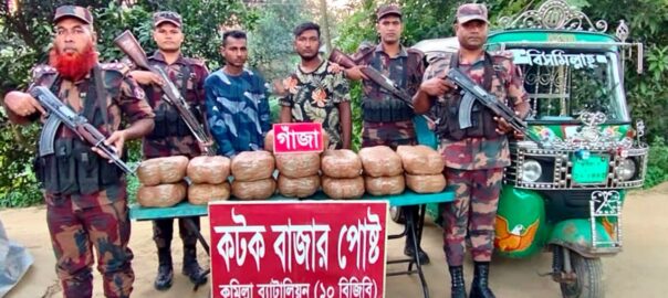 কুমিল্লায় ৩০ কেজি গাঁজাসহ