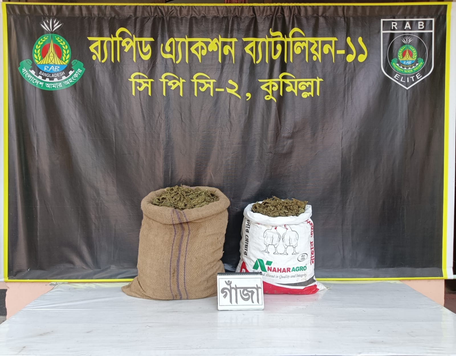 কুমিল্লার বুড়িচংয়ে গাঁজাসহ মা-ছেলে আটক