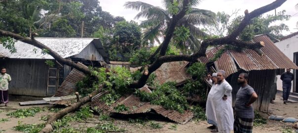 নাঙ্গলকোটে ঘূর্ণিঝড়ে গাছ পড়ে মাদ্রাসা ভবন বিধ্বস্ত