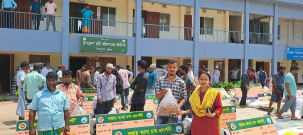 দাউদকান্দিতে পতিত জমি ও বাড়ির উঠোনে আদা ও সবজি চাষের উপকরণ বিতরণ
