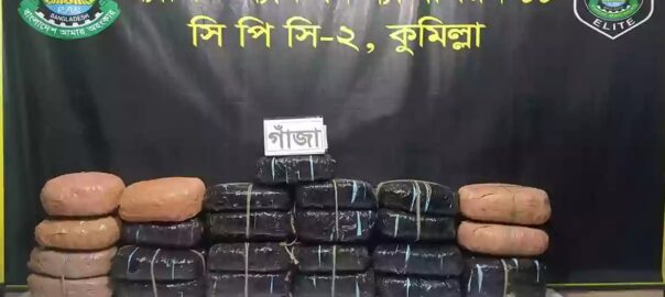 সদর দক্ষিণে বিপুল পরিমান গাঁজাসহ গ্রেফতার ২